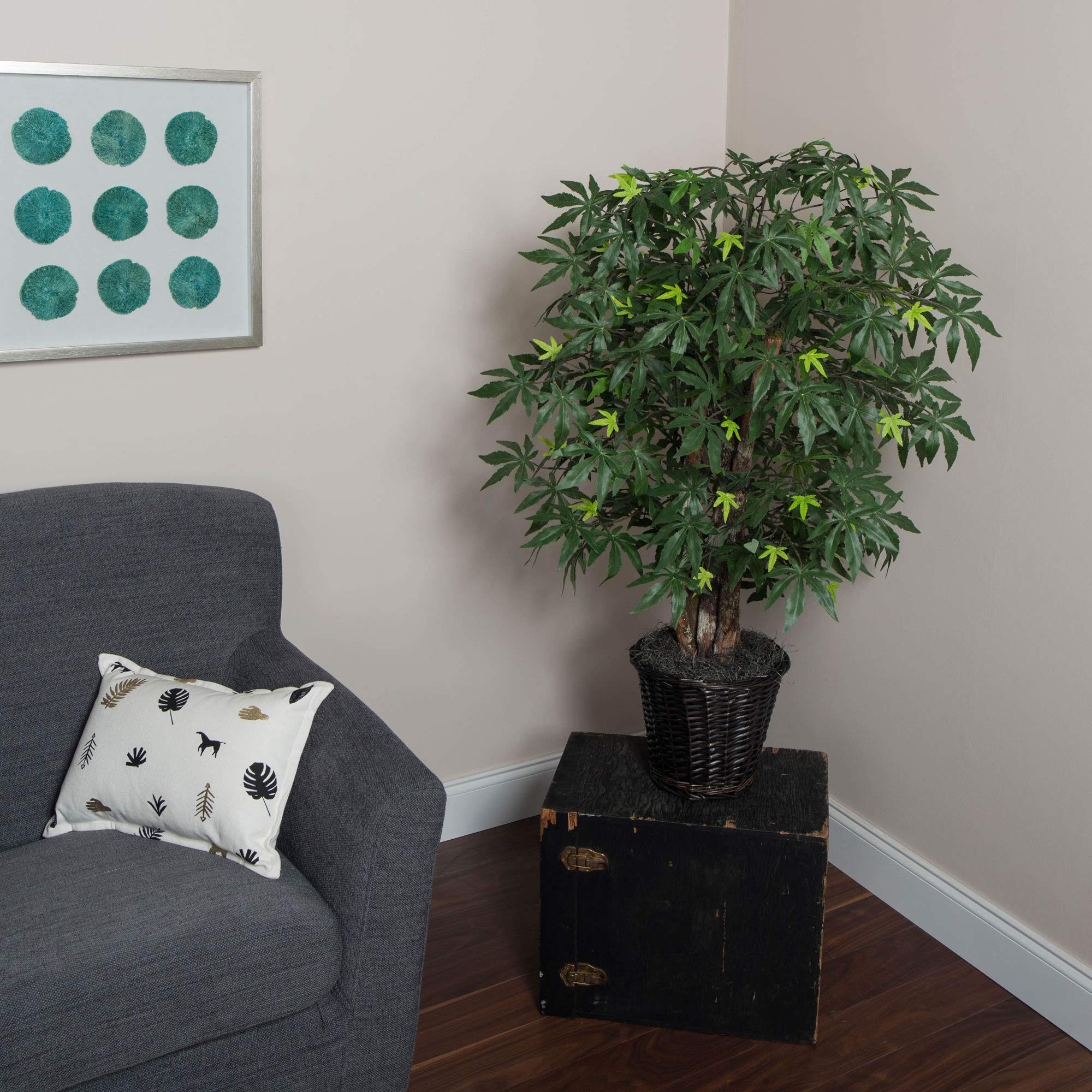 Amazon.com: Vickerman TXX1840 Japanese Maple Bush, Green, 4