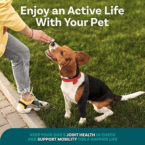 Miniatura 5 de PetCove Rodillera para perro, tamaño mediano, rodillera de perro para pierna desgarrada, soporte para pierna trasera de perro para pierna trasera