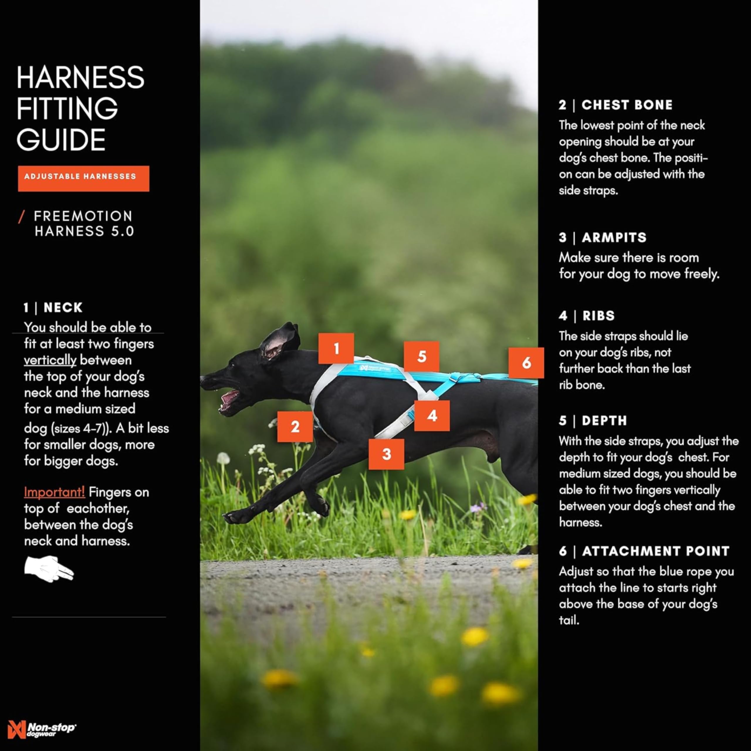 Non-Stop dogwear FREEMOTION Arnés 5.0 |111| Arnés para perros para todos los deportes, talla: 4