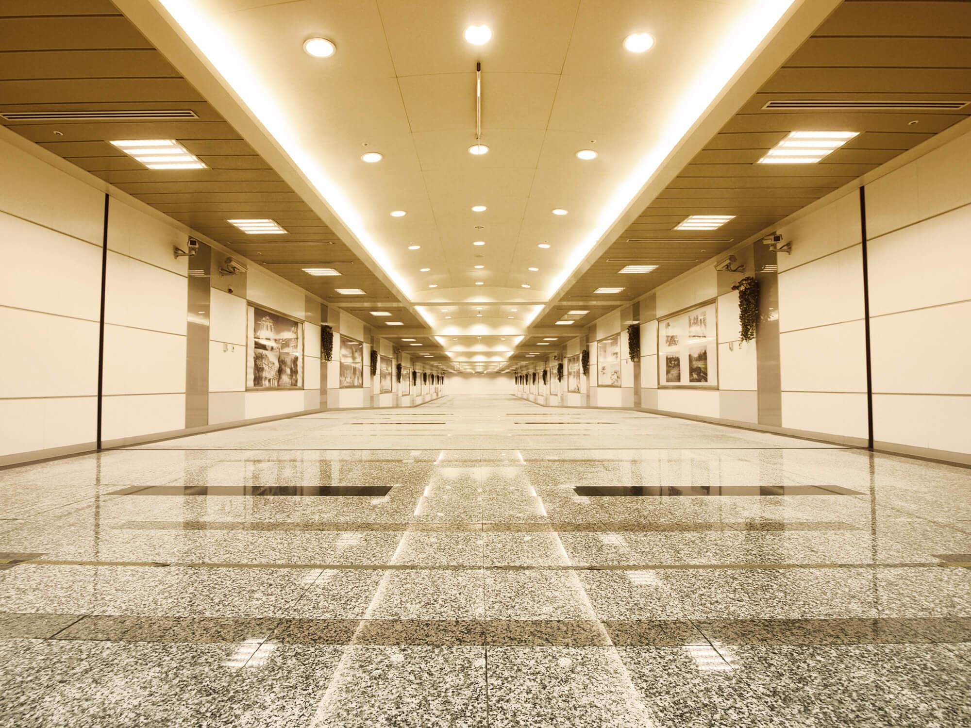35 Metros Profesional warmweißer High Power Tira LED (60 LED/M, 1200LM/M, IP68, 230 V) Incluye Conector de Red