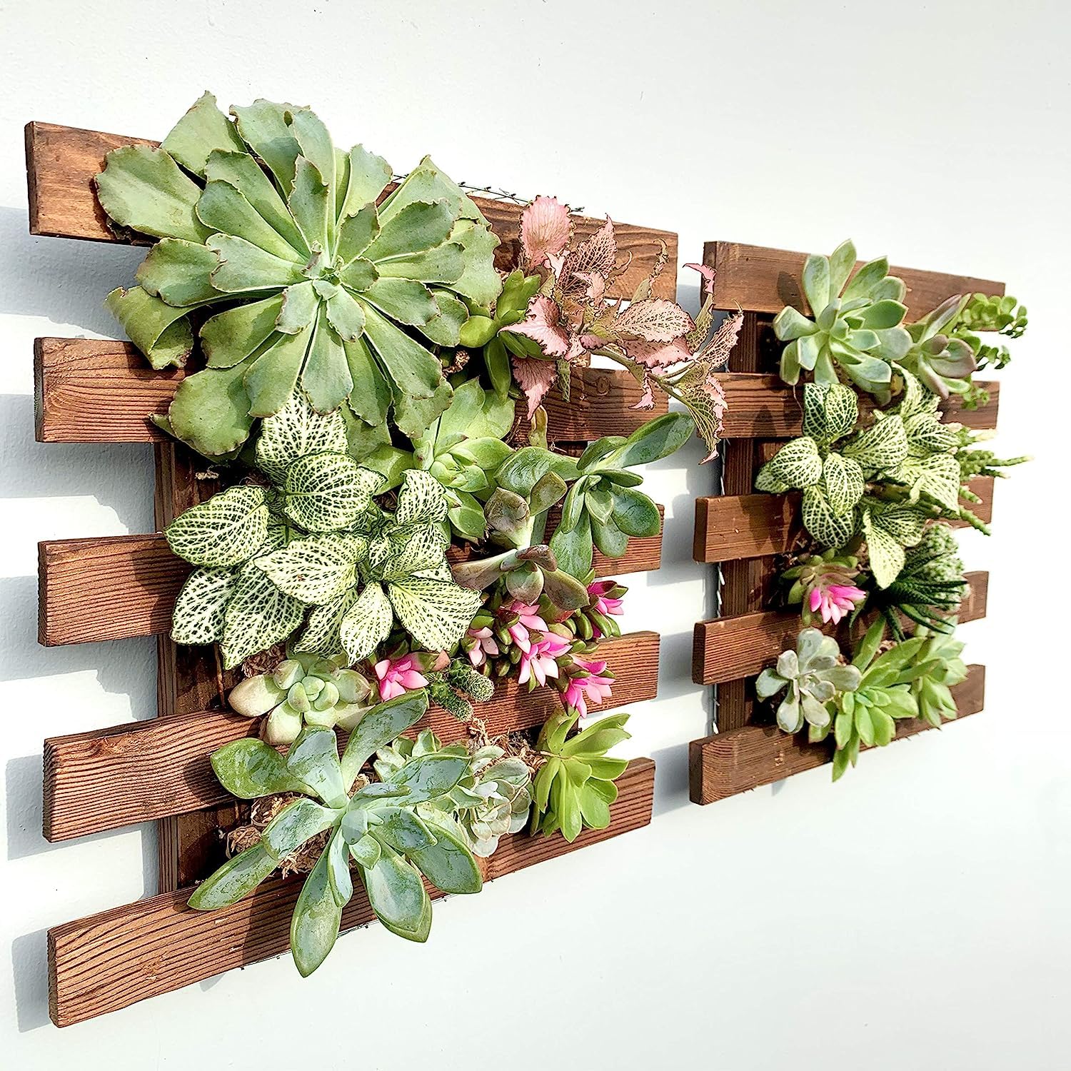 Dexter Enterprises Wall Planter - Hanging Wooden Wall Planter for Indoor Outdoor Plants Wall Mount Planter, Air Plant Holder, Wooden Trellis for Climbing Plants (29 Cm (Set of-2)) (B0CGRRDPZS) Amazon Price History, Amazon Price Tracker