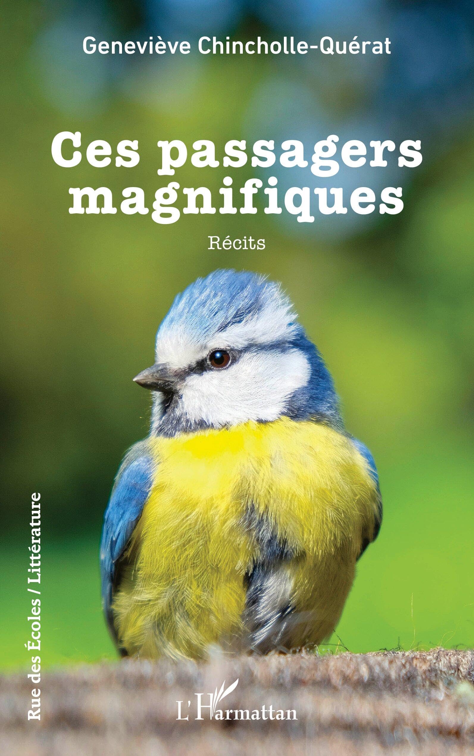 Ces passagers magnifiques (Rue Des Écoles)