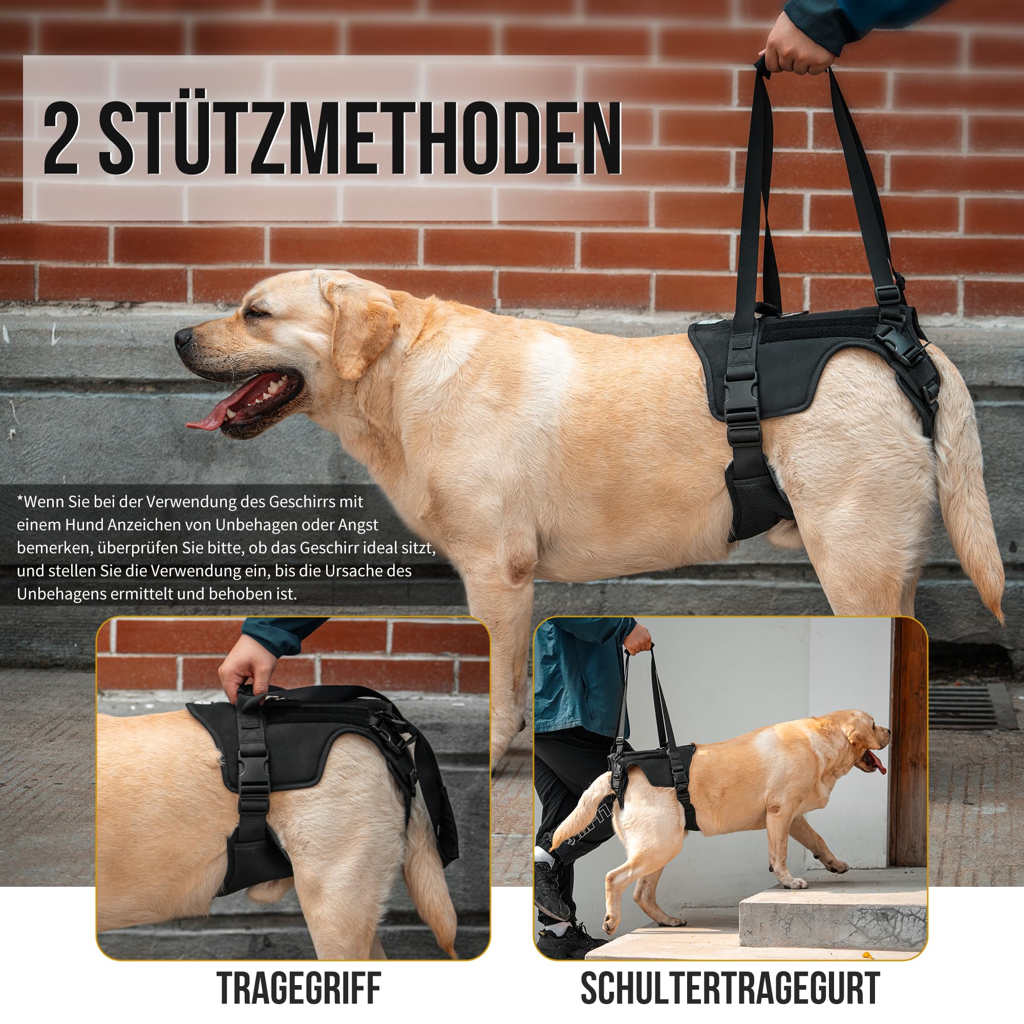 OneTigris Hundegeschirr, Victus Unterstützung Geschirr, Hebegeschirr für Mittelgroße Große Hunde Hundehebegeschirr Hundestützgeschirr für die Hinterbeine - Schwarz, L