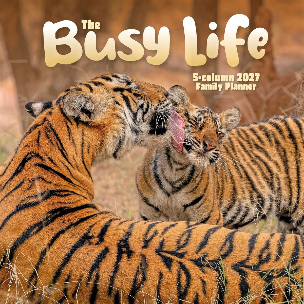 Carousel Worldwide 2027 Busy Life Wall Planner, Month to View
