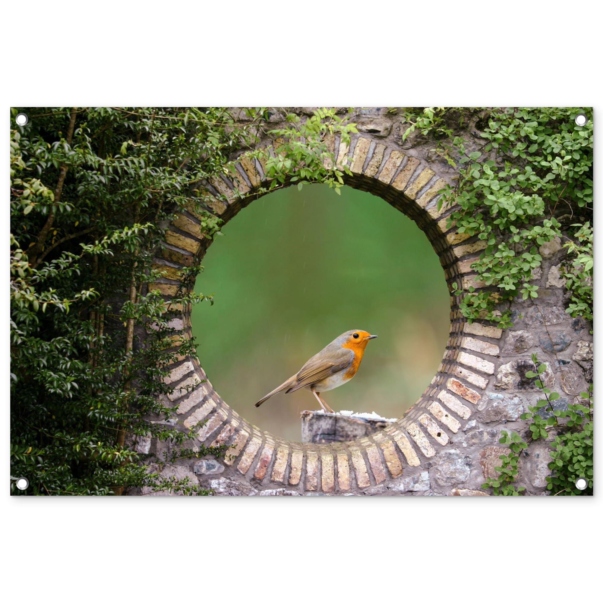 MuchoWow© Garden Poster 35"x23" / 90x60 cm Outdoor Wall Decor Art Posters Decorations For Gardens Balcony Accessories Outside Decoration Bird - Look-through - Robin