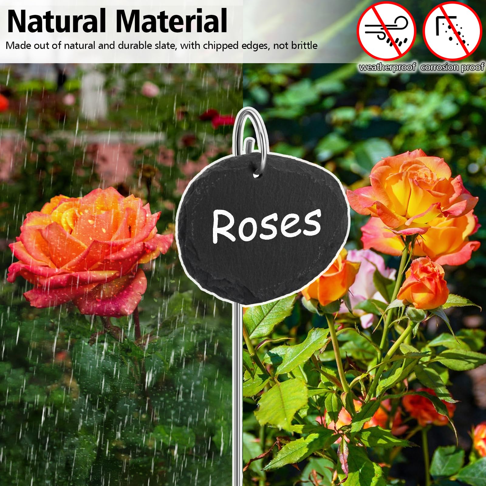 Poeland Placas de pizarra para plantas | resistentes a la intemperie, reutilizables, juego de 10 carteles de pizarra con varilla de metal ovalada