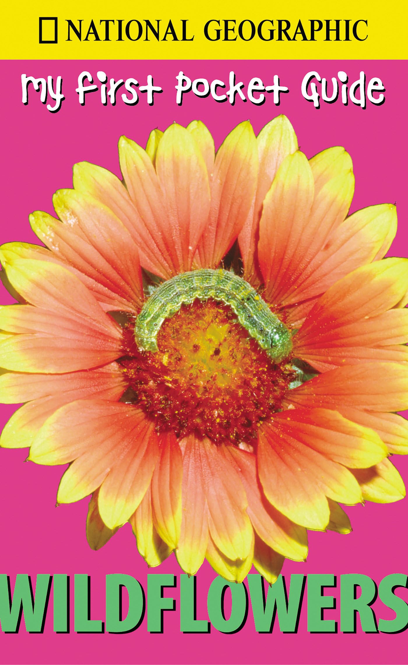 Wildflowers (National Geographic: My First Pocket Guide)