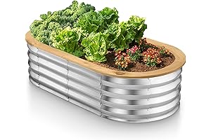 Galvanized Raised Garden Beds: Cultivate Your Urban Oasis