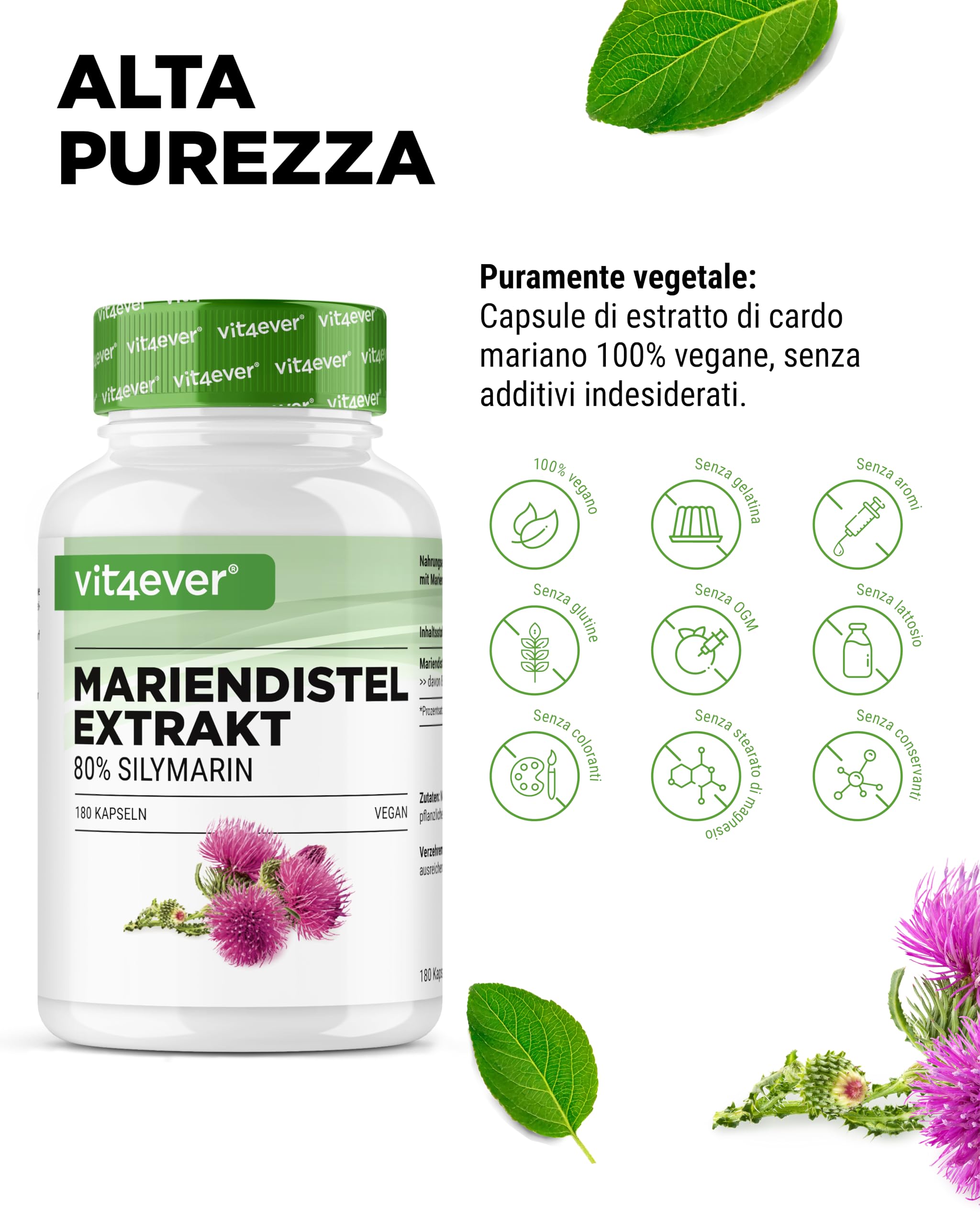 Estratto di cardo mariano 180 capsule da 500 mg ciascuna - 80% contenuto di silimarina - Fornitura per 6 mesi - Altamente dosato - Vegan