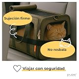Ver la foto 3