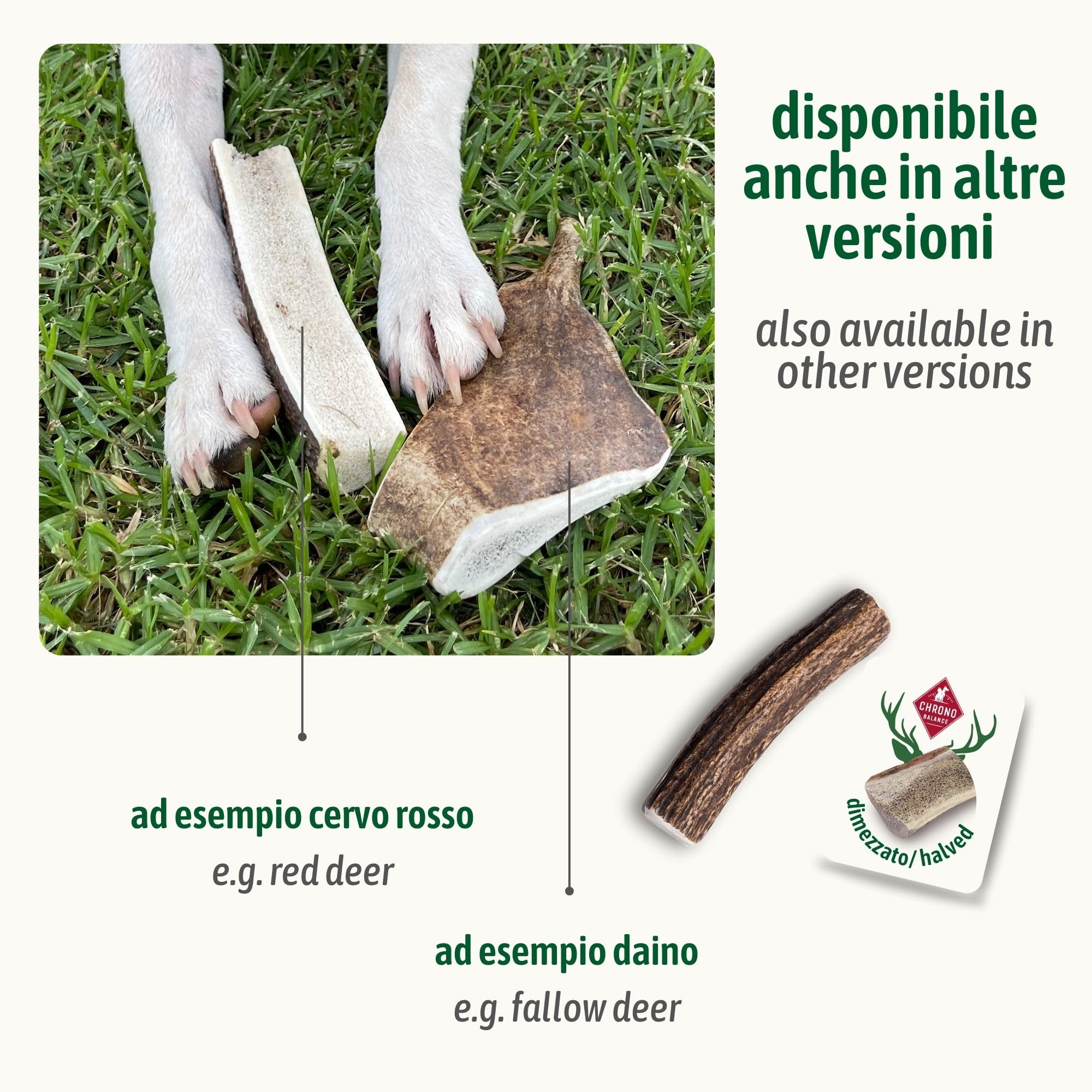 ChronoBalance-XXL Corno di Cervo per Cani, Confezione da 2, Dimezzato, 100% Naturale, Osso di Cervo, Cura Dentale, Giocattolo per Cani, Senza Sostanze Chimiche, Lunga Durata