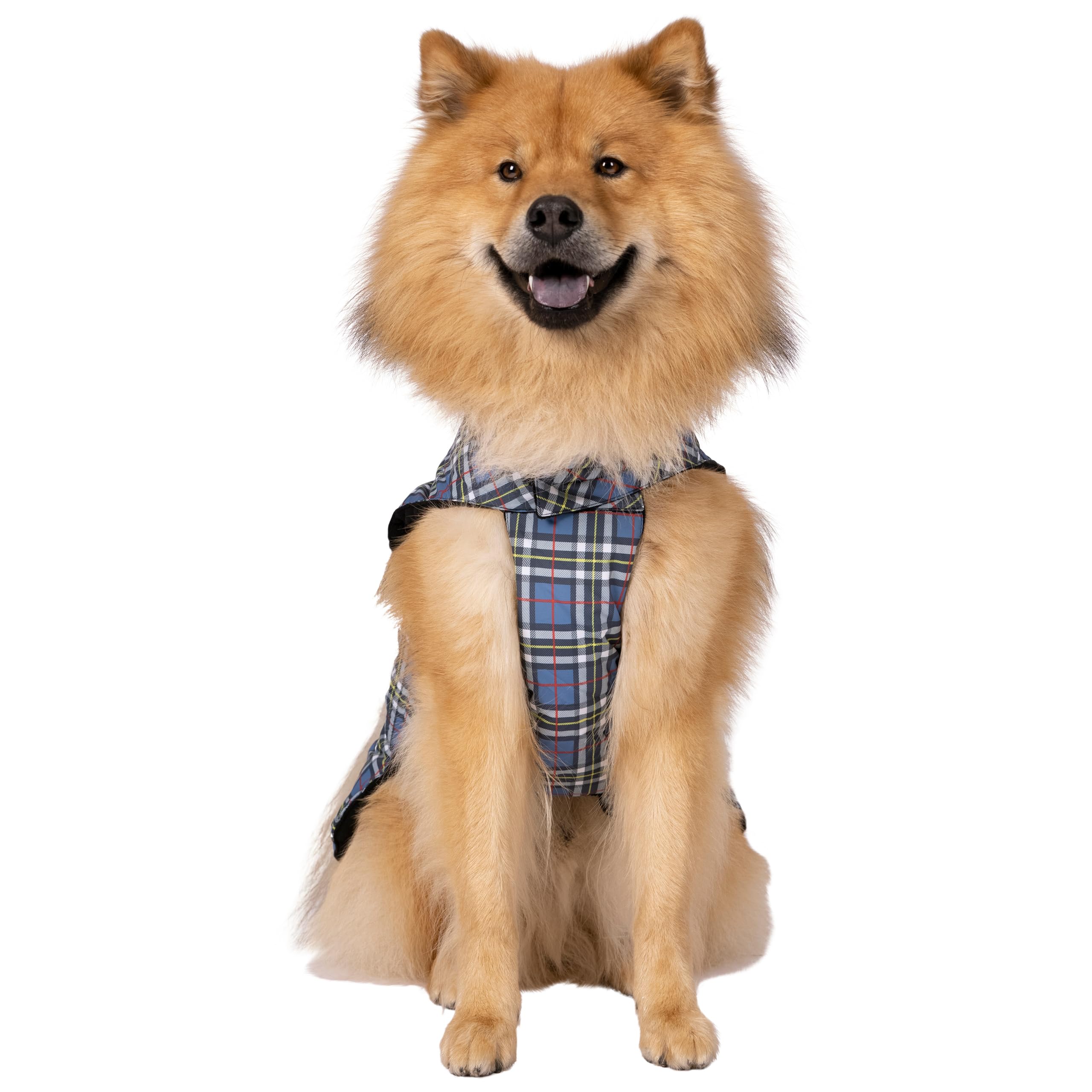 Trespass Manteau de Pluie imprimé pour Chien Charly Motif Tartan Taille M