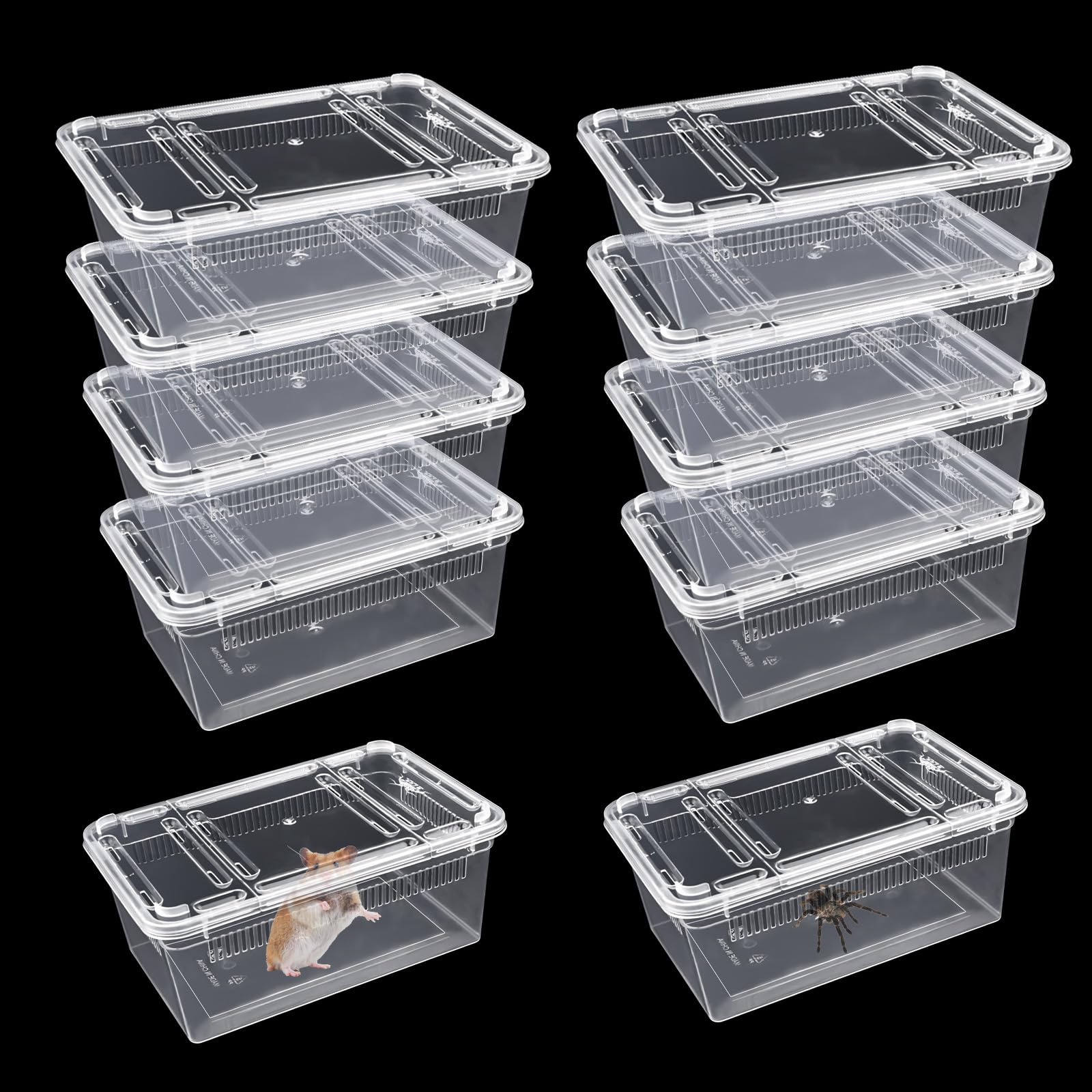 10 PCS Reptile Feeding Box, Isopod Enclosure Plastic Terrarium