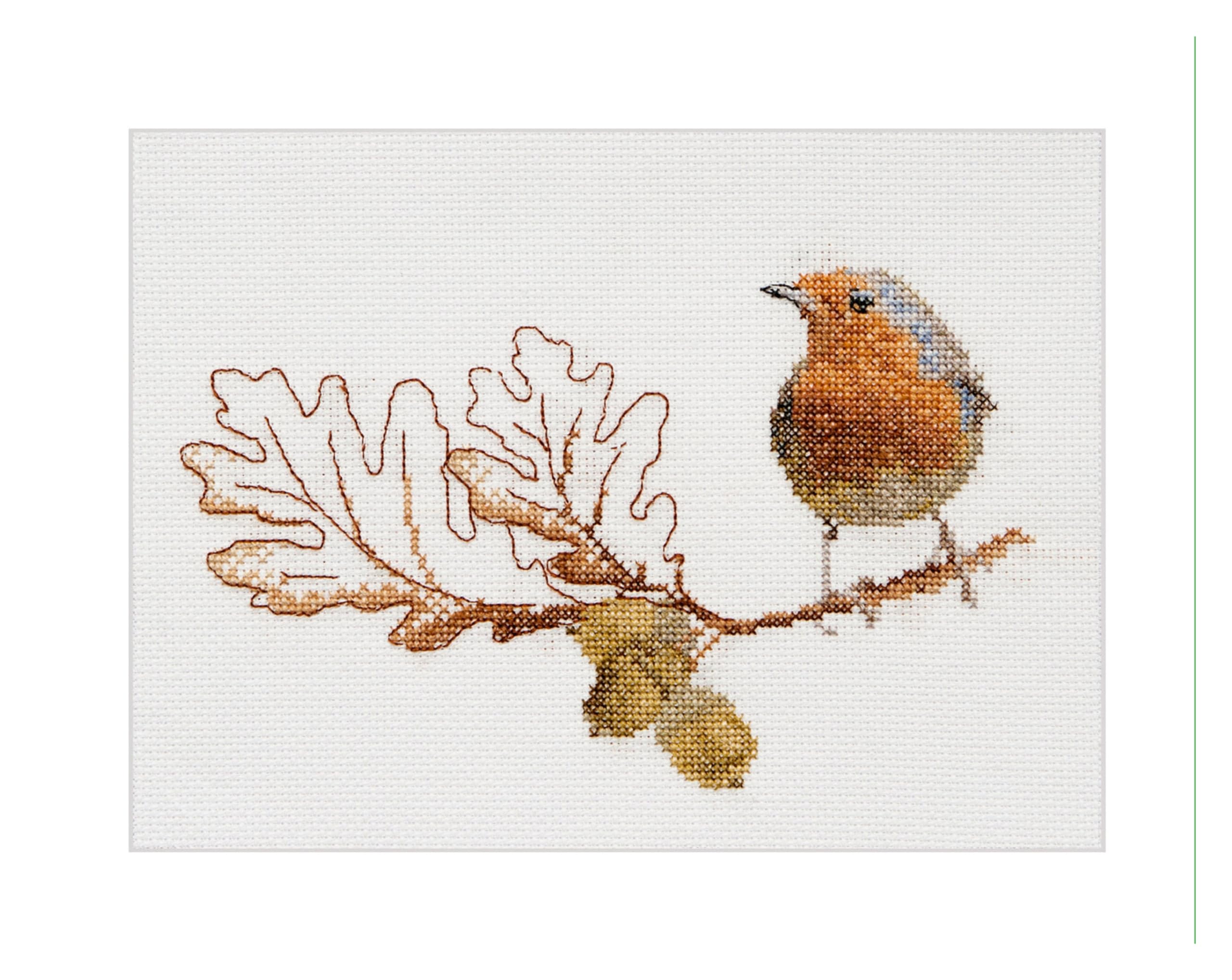 Thea Gouverneur, Counted Cross Stitch Kit, Fall Robin Bird, Aida, 16 Count, Embroidery Kit for Adults