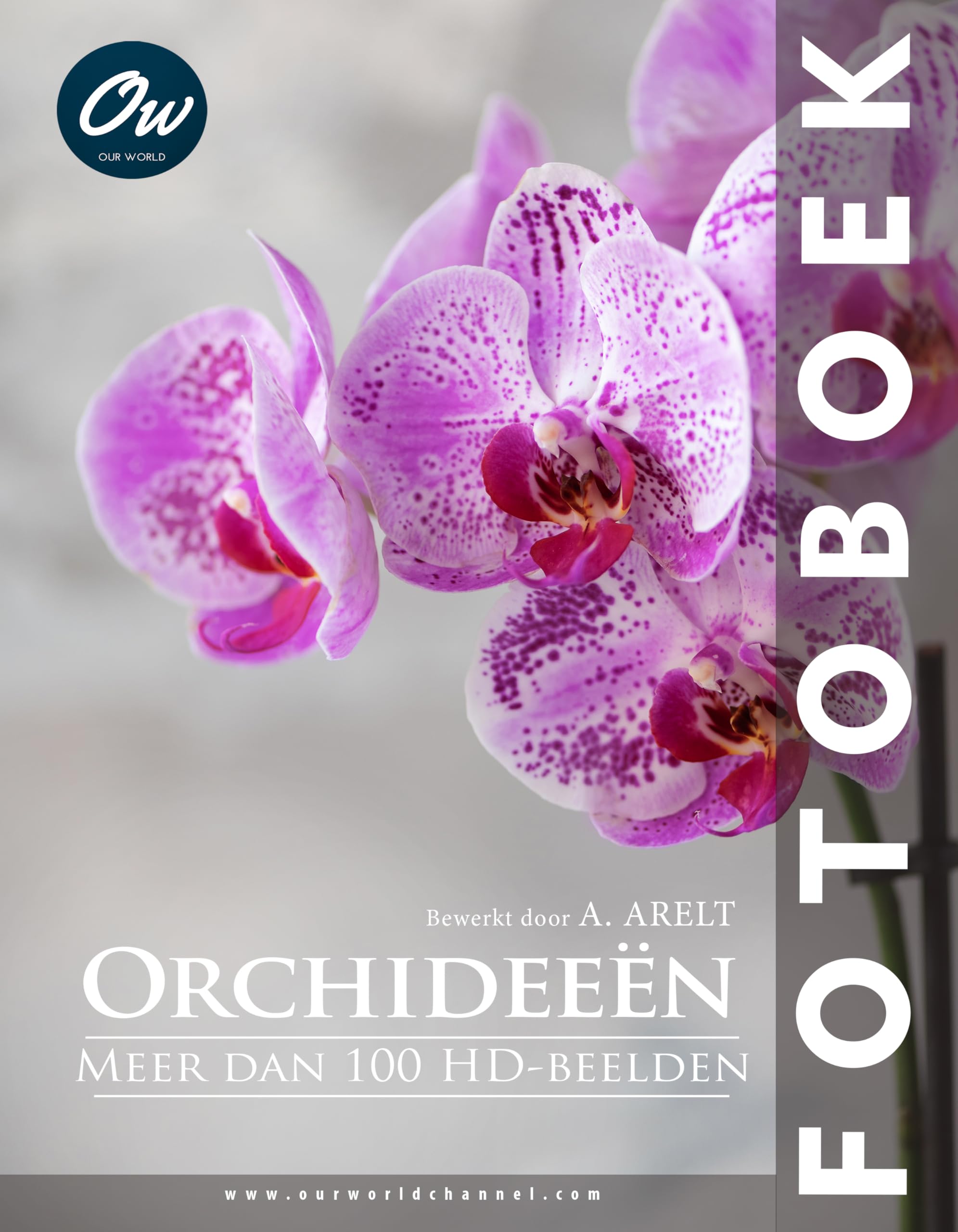Orchideeen le cadeau ideal pour les amoureux de fleurs et de nature