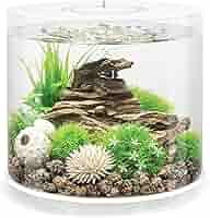 biOrb Life 15L バイオーブ ホワイト biOrb Life Aquarium for Beautiful Home Aquascapes | biOrb US