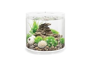 Amazon | biOrb 水槽 セット チューブ 15L (72065) おしゃれ