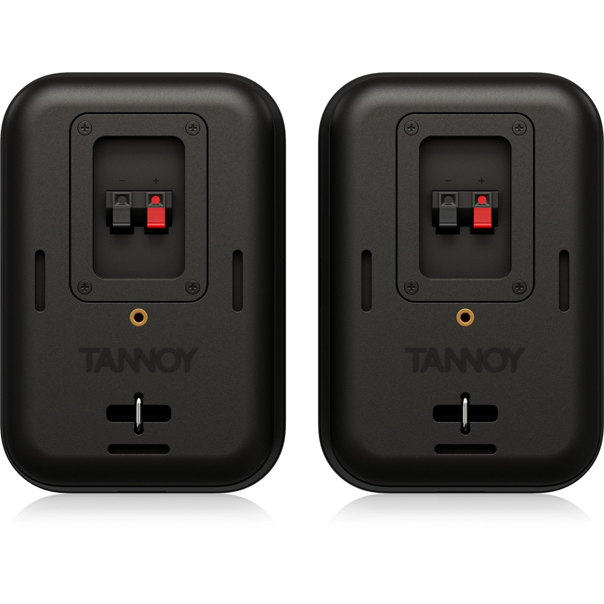 Amazon.co.jp: Tannoy スピーカーキャビネット 電源なし (VMS 1