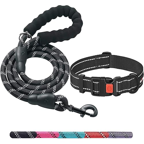 Heavy Duty Dog Leash - Comfortable Padded Handle, 5 ft Long - Dog Leashes for Small Medium Large Dogs (Leash+Collar L Neck 20"-25", Black)