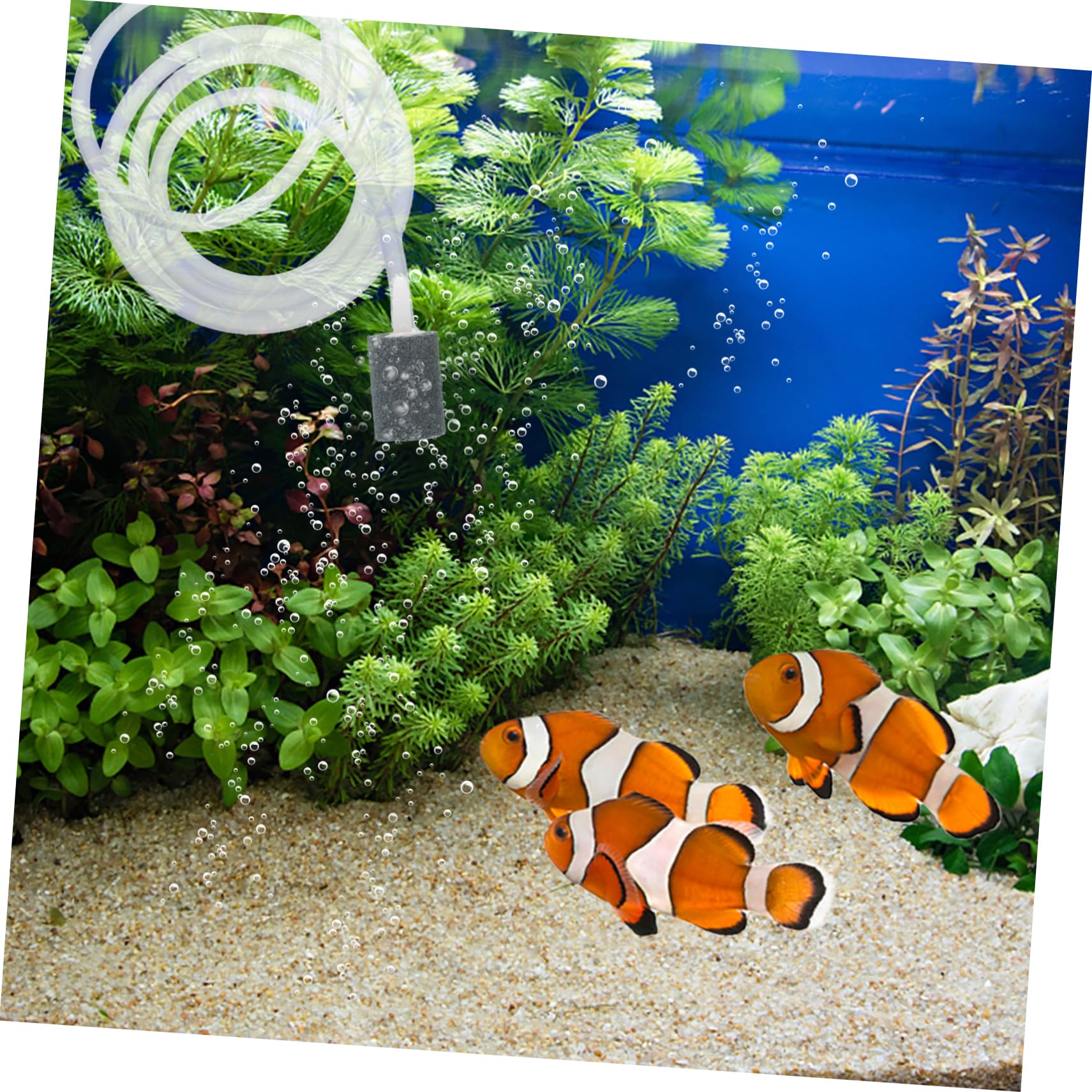 VICASKY USB Oxygen Pump for Fish Tank Silent Aquarium Air Pump with Durable Material Displacement Easy to Use and Carry