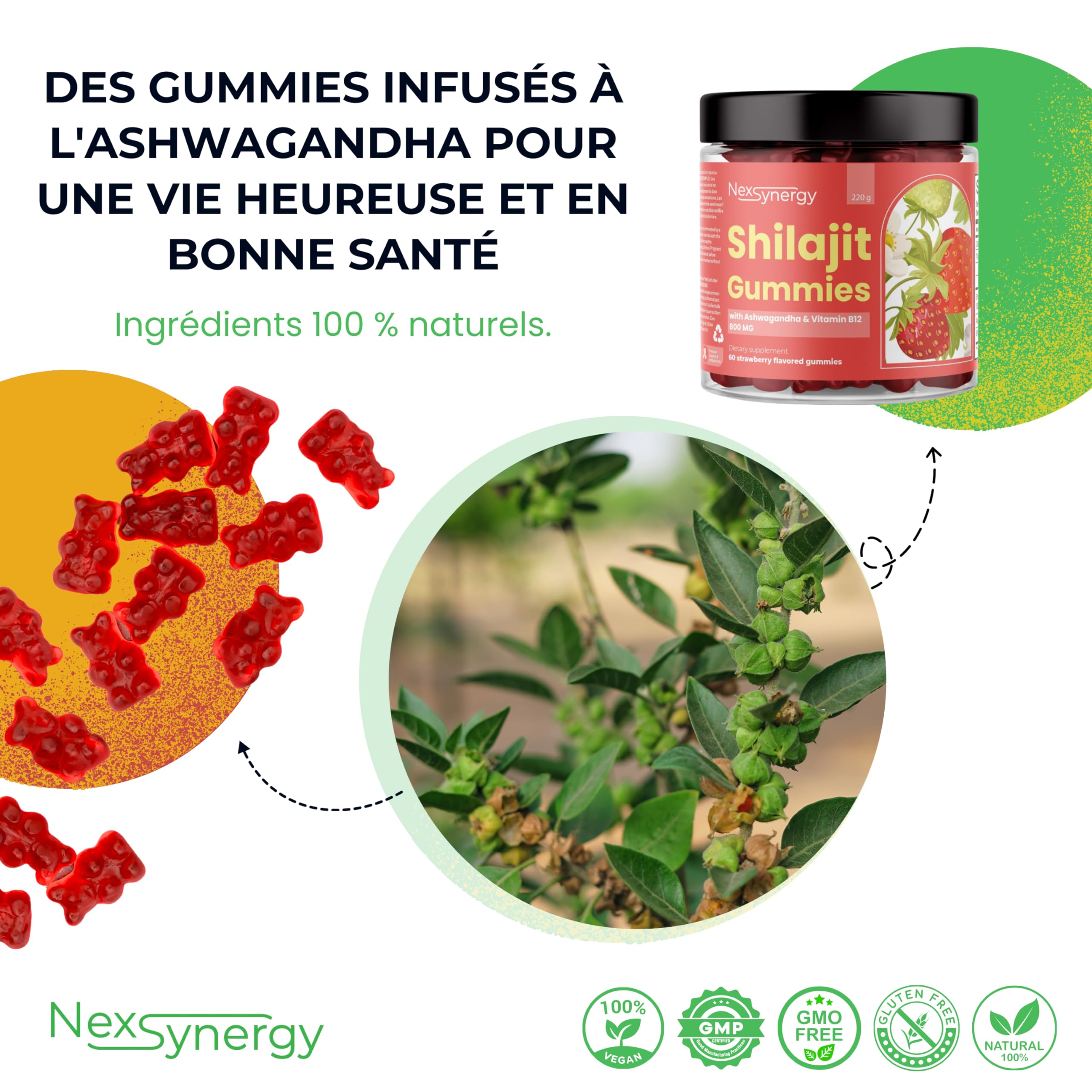 Gummies SHILAJIT avec ASHWAGANDHA et VITAMINE B12 | 800mg par Portion | 60 gommes Saveur Fraise | 50% d'Acide Fulvique | 100% Naturel, Végan et Sans Gluten