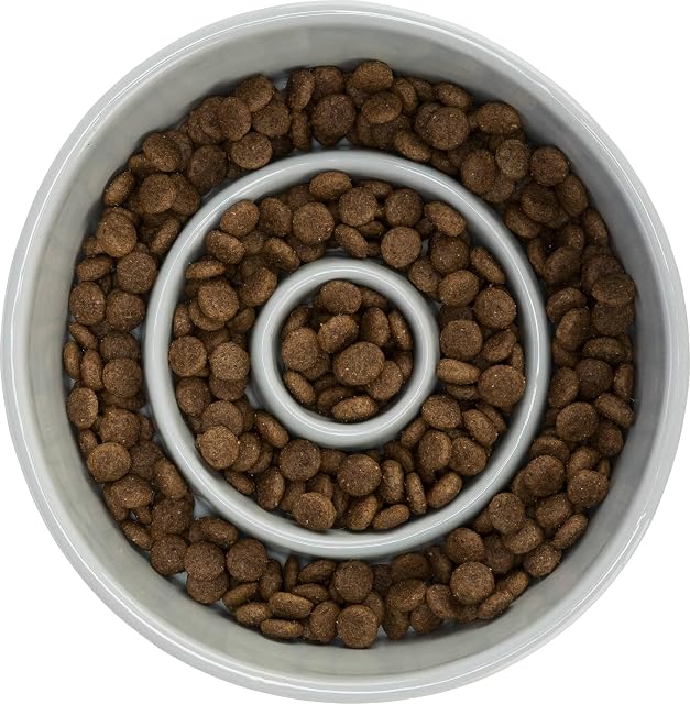 Foto 4 de 6 de Trixie Slow Feeding Comedero Cerámica, Gris/Azul, 0,9 l/ø 17 cm