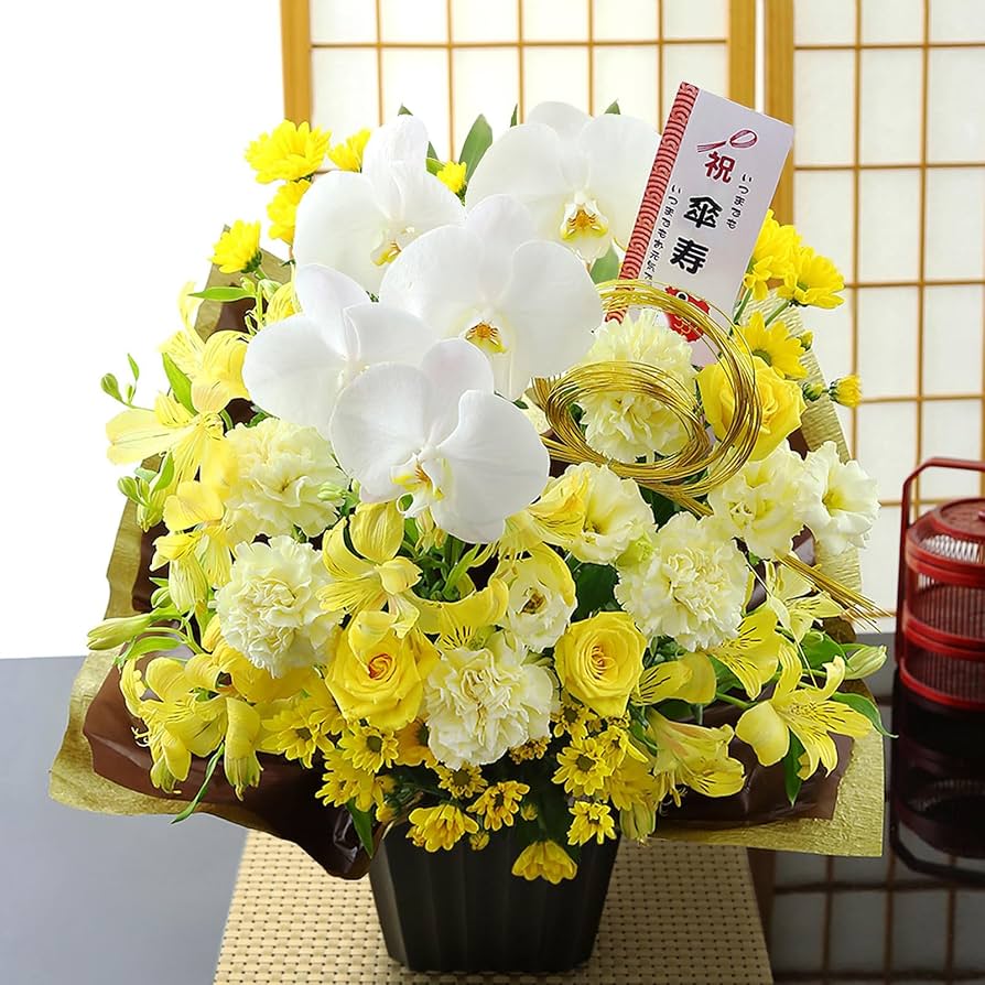 スーちゃん お花のおうち Amazon.co.jp: シャオール クムタス (3歳以上 / 知育玩具/おはな