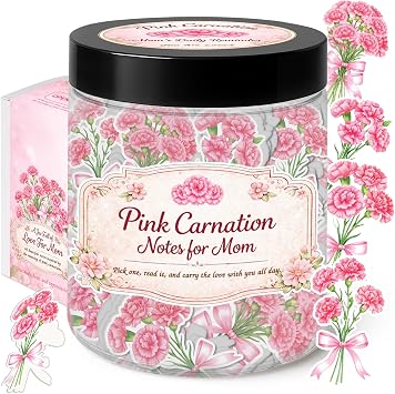 Pink Carnation for Mom Emotional Supports Jar, Desk Accessories, Coworker Gifts for Women, Boss, Teacher, Friends Teacher Appreciation Gifts