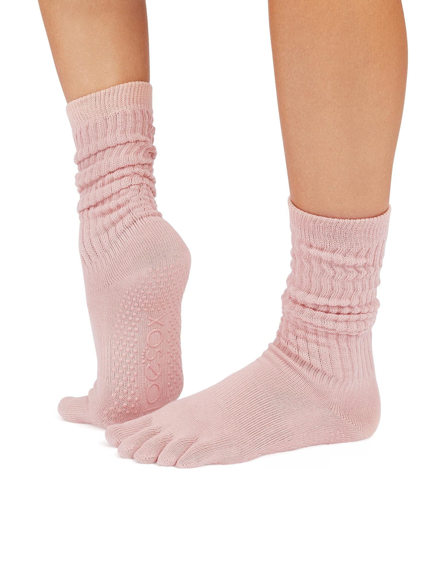 【大型】パルナシウス・ウィスコッティ（1メス・スウェーデン） Amazon.co.jp: [ToeSox] トゥソックス 5本指 靴下 滑り止め
