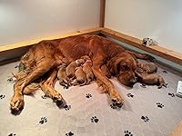 Review Image by Mdee Mdee