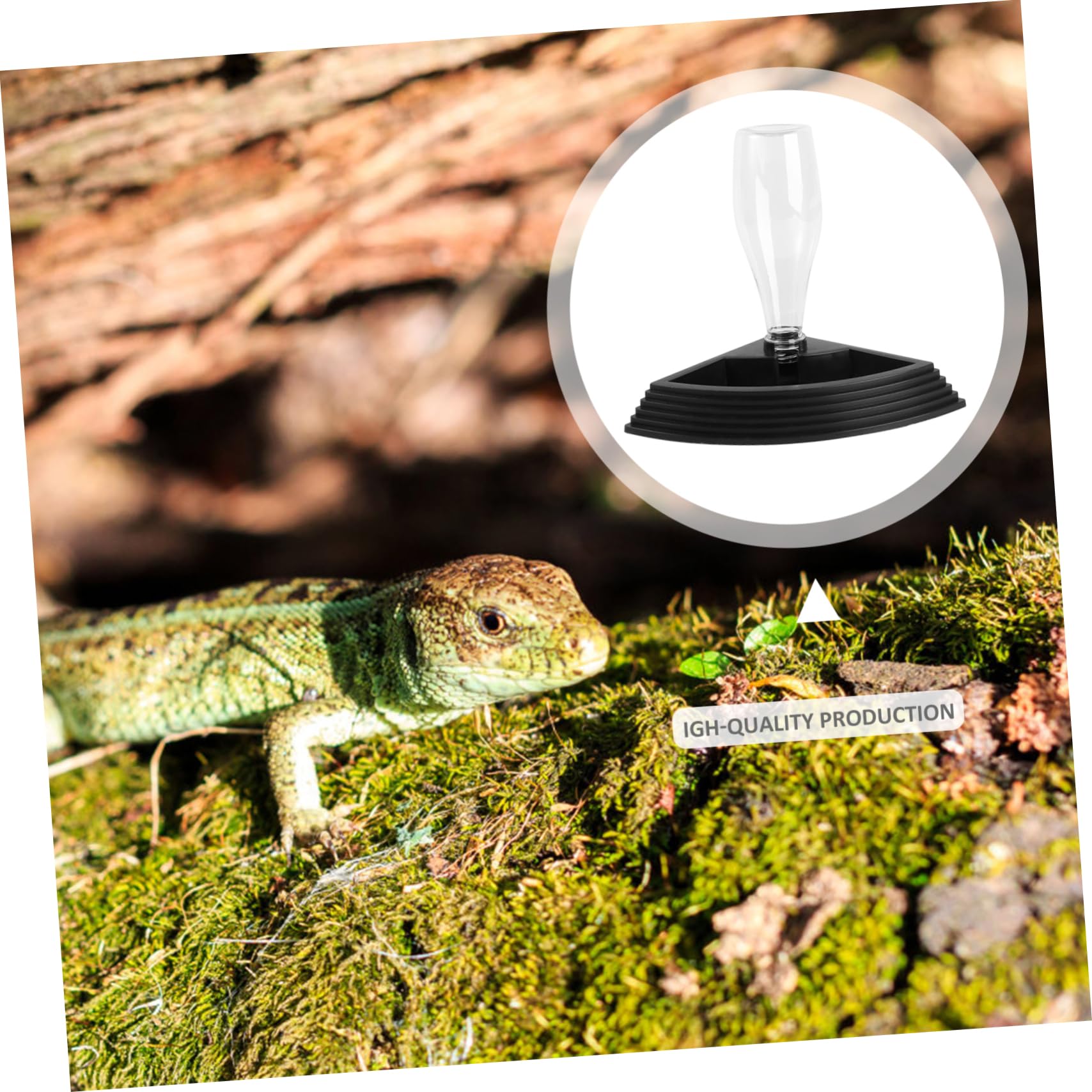 Ipetboom 3pezzi Fontana per Automatica per Rettili Distributore per Tartarughe e Lucertole Erogatore con Design Antiscivolo e Facile Manutenzione Accessorio per Terrario capacità Elevata
