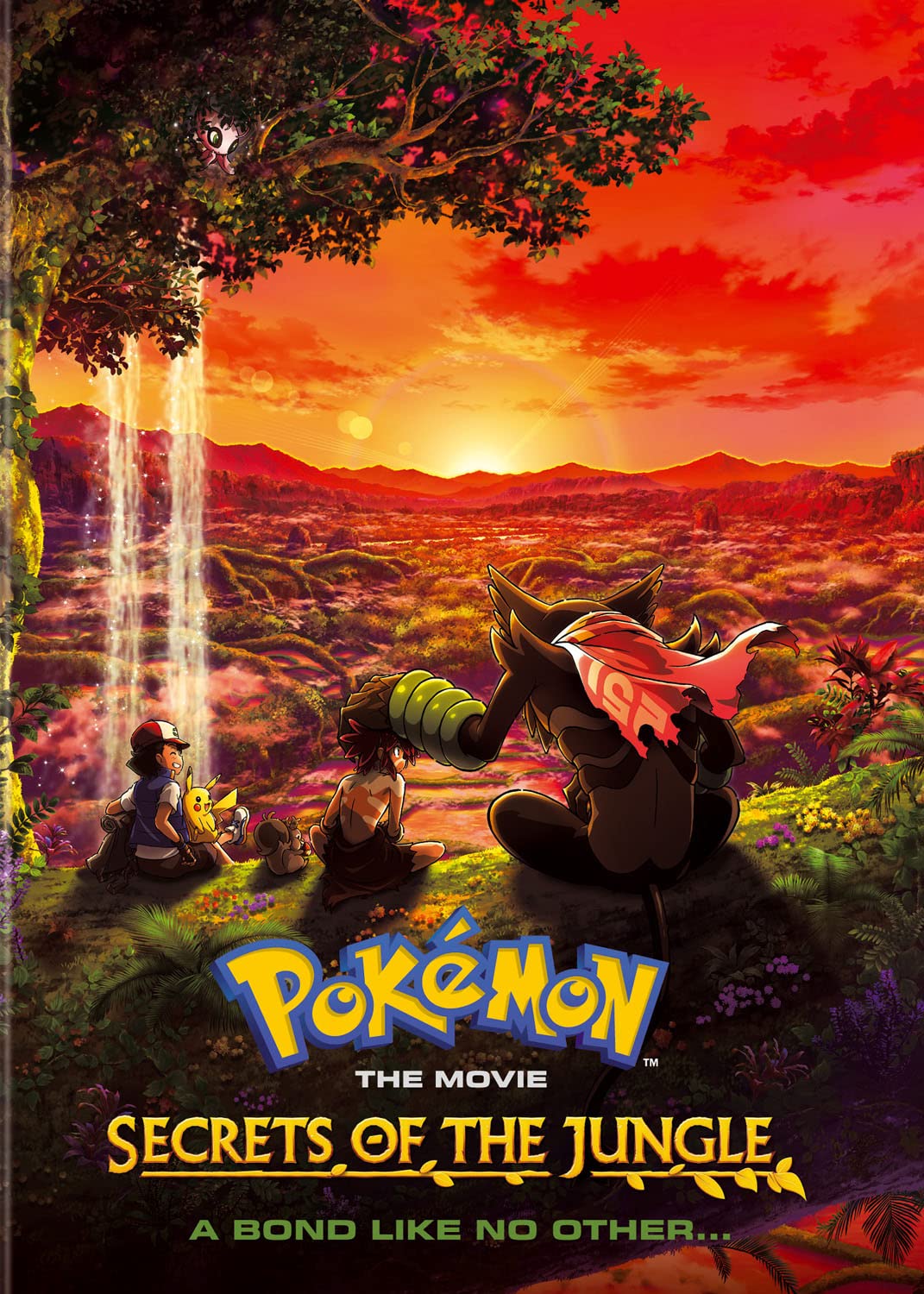 Pokémon the Movie: Secrets of the Jungle (DVD): Amazon.ca: Various
