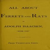 news All about Ferrets and Rats
