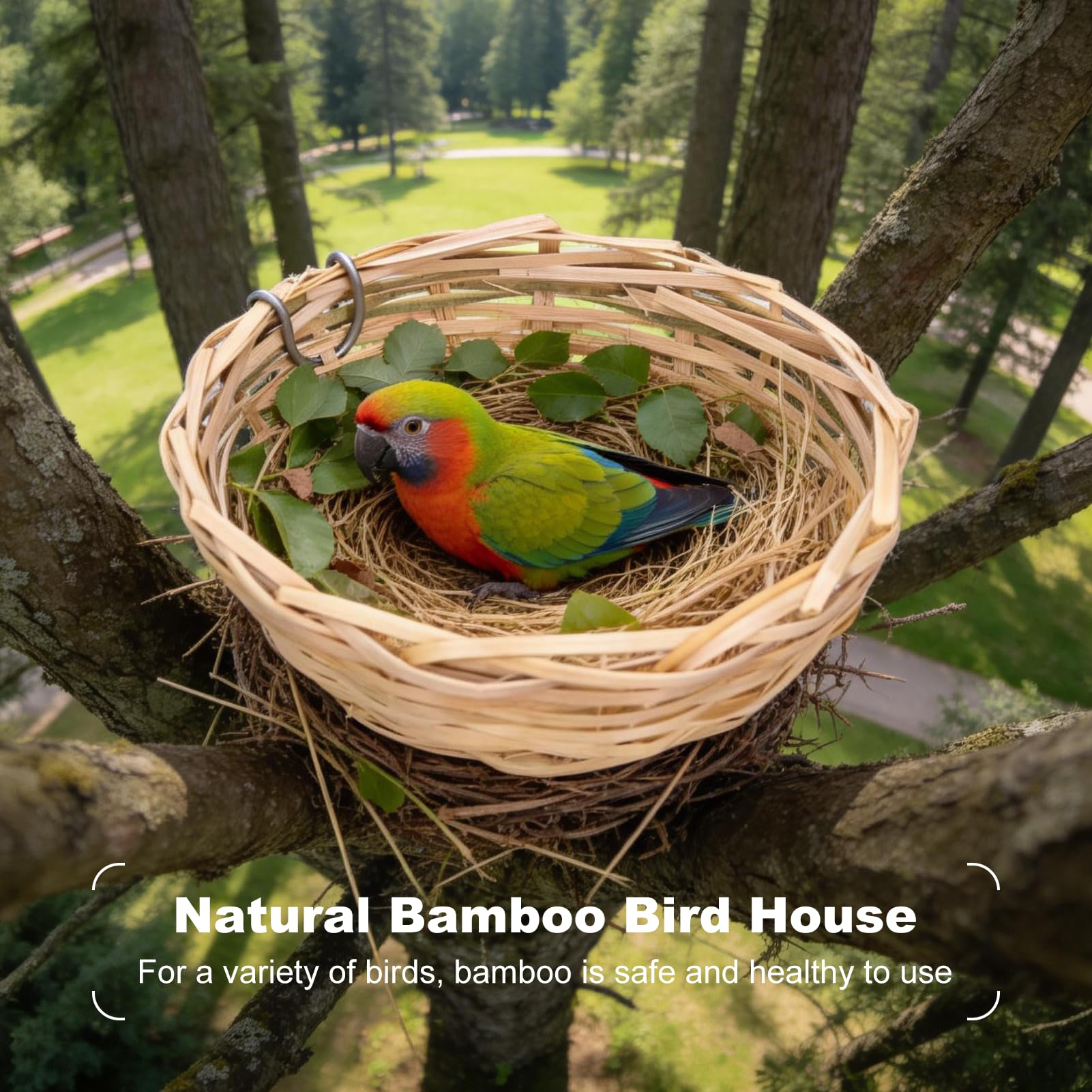 4 Pièces Nid D'oiseau Fait à la Main Maison D'oiseau Robuste Et Naturel en Bambou Nid D'oiseau Fournitures pour Oiseaux Cage à Oiseaux avec Crochet pour Petits Perroquets Canaris Calopsittes