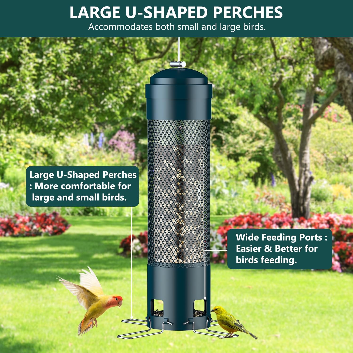 Squirrel Proof Bird Feeder - Attract Birds! -7