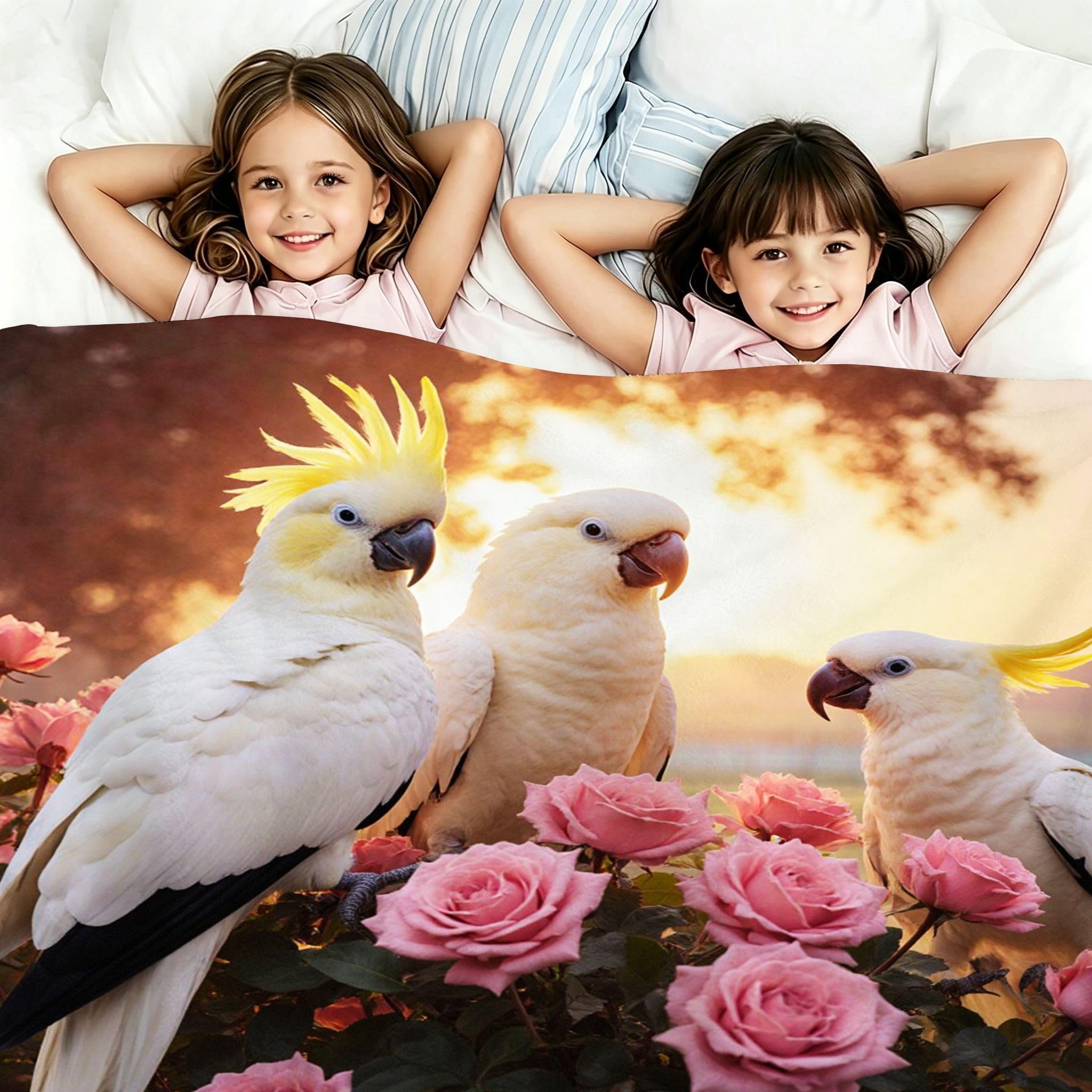 Manta XXL 240x260 cm Carcaj Polar para Sofá Cama-A296