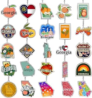 Sureio 25 Pcs USA Souvenir Keychain Gifts Bulk Men California Los Angeles Texas Florida Chicago Silver Metal American Keyring