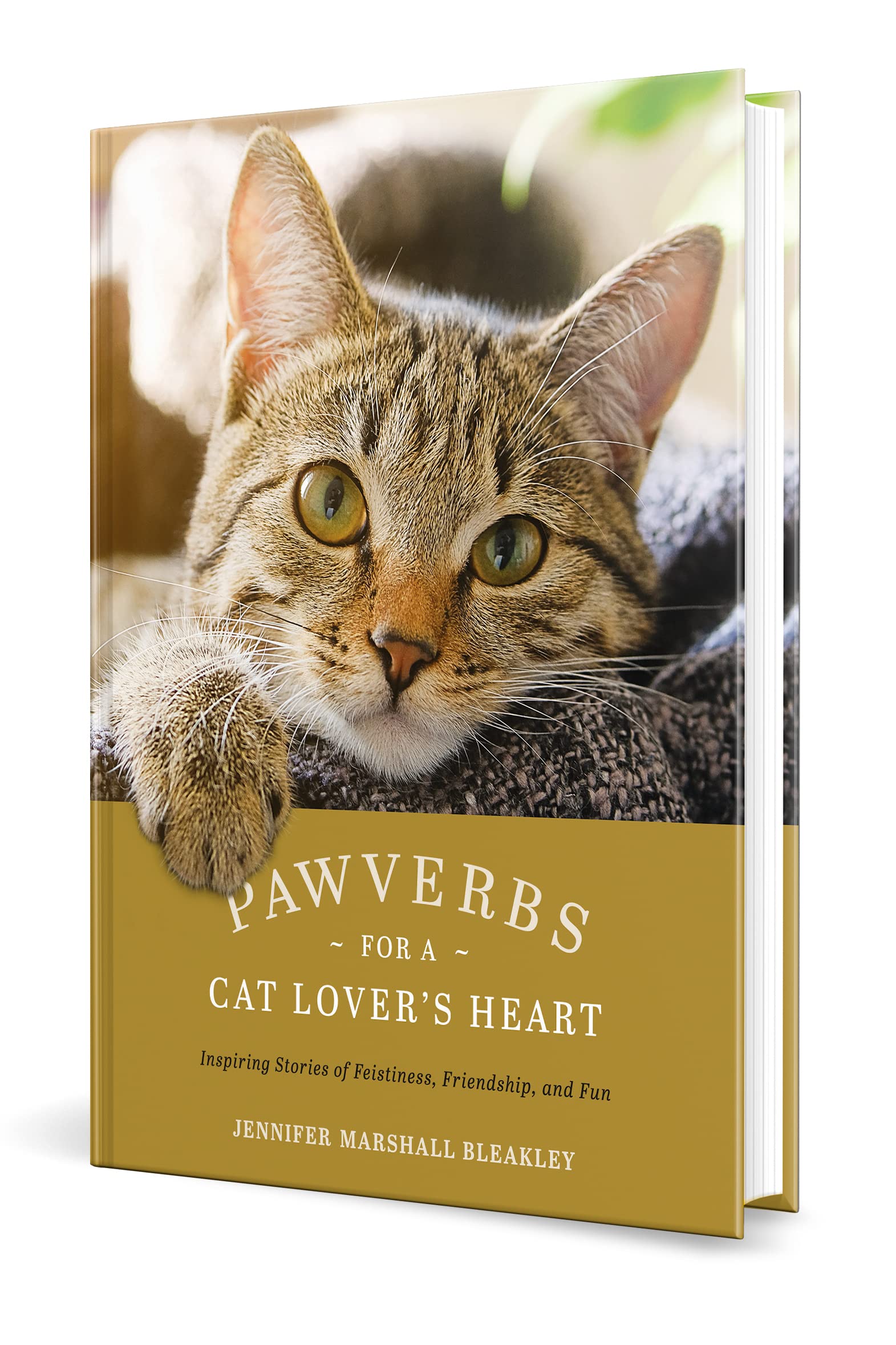 Pawverbs for a Cat Lover's Heart: Inspiring Stories of Feistiness, Friendship, and Fun - Image 9