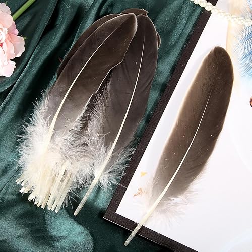 Miniatura 6 de THARAHT 120 plumas de ganso natural gris natural natural a granel de 6 a 8 pulgadas, 15 a 7.9in para manualidades, manualidades, cosplay, boda,