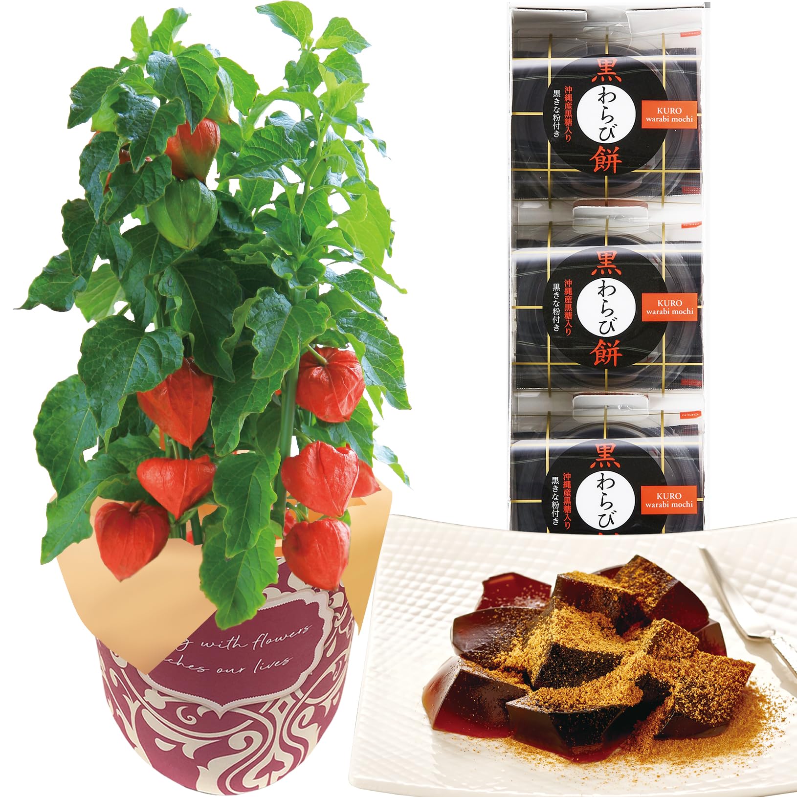 朧月　鉢ごと発送 多肉植物、朧月、抜き苗、鉢の中全て - メルカリ