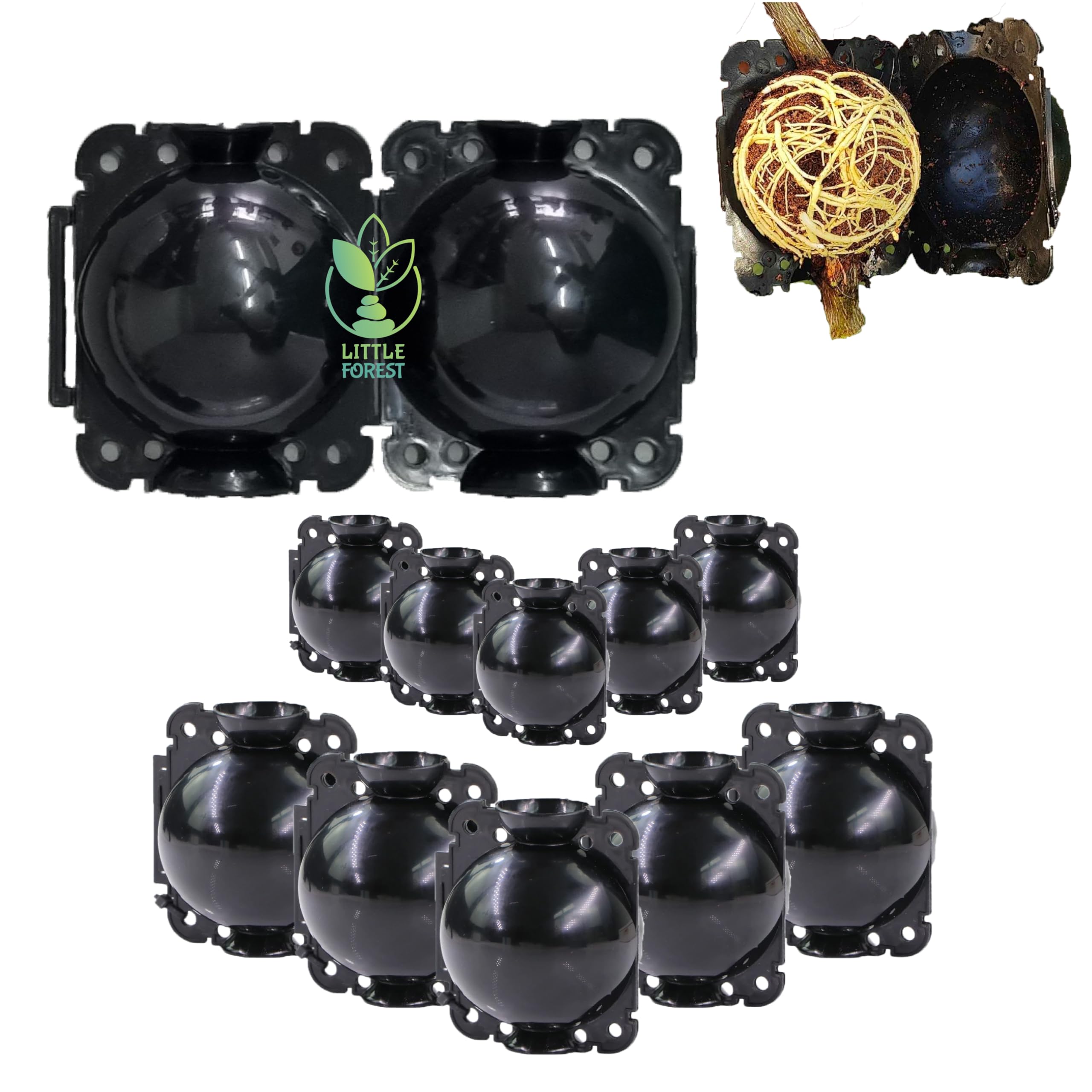 Little Forest - 2 Inch & 3 Inch Combo Plastic Rooting Ball, Plant Rooting Propagation Ball, Faster Root Growth, 100% Virgin Plastic, Reusable, Selflocking (Black - 2 Inch/5pcs, 3 Inch/5pcs)-picture-11