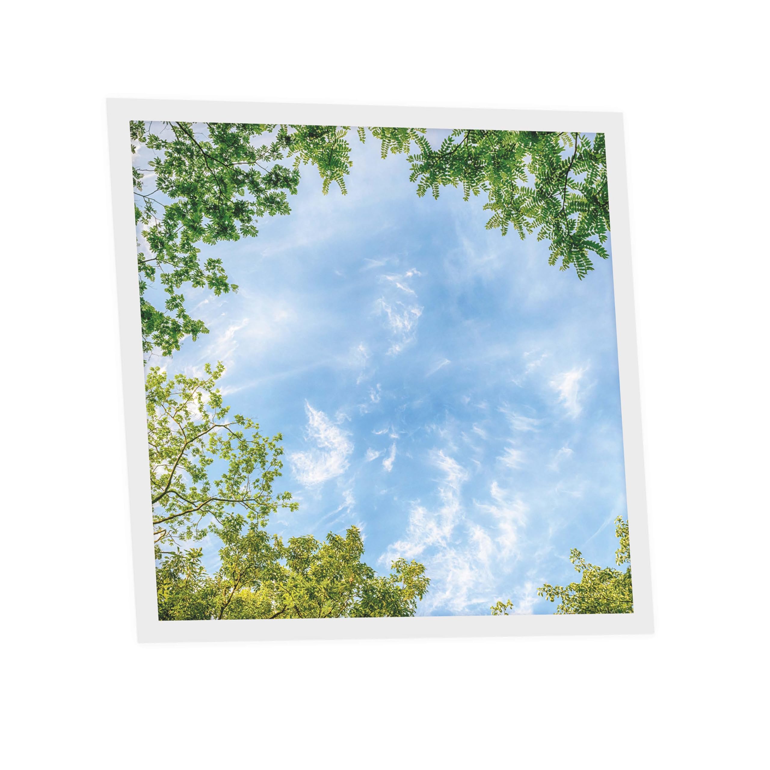 Générique Dalle LED Imprimée 60x60 cm - Motif Horizon Arboré - Lumière Blanc Neutre 4000K - Panneau Lumineux pour Plafond Bureau Salon Cuisine - Facile à Installer