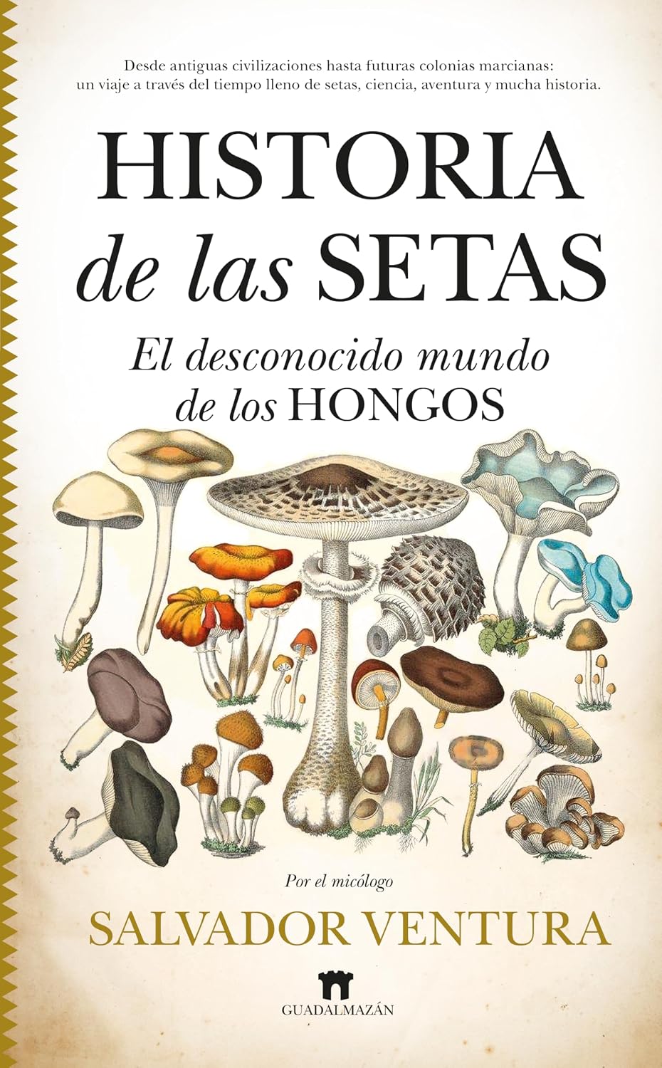 Historia de las setas: El desconocido mundo de los hongos (Spanish Edition)