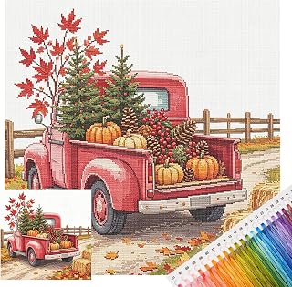 Embroidery Starter Kit 14CT Cross Stitch Stamped Printed