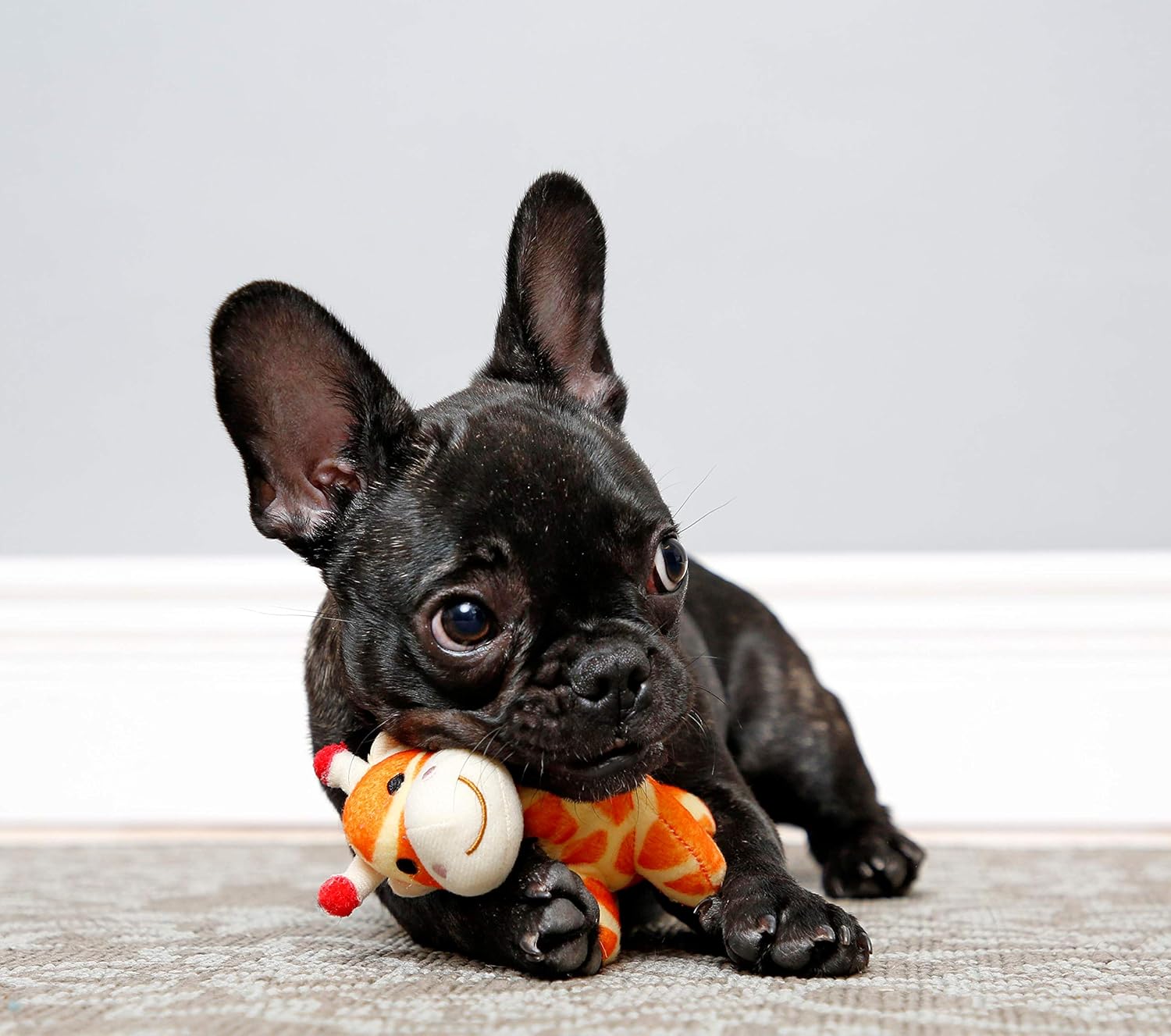 hartz tiny dog jungle plush