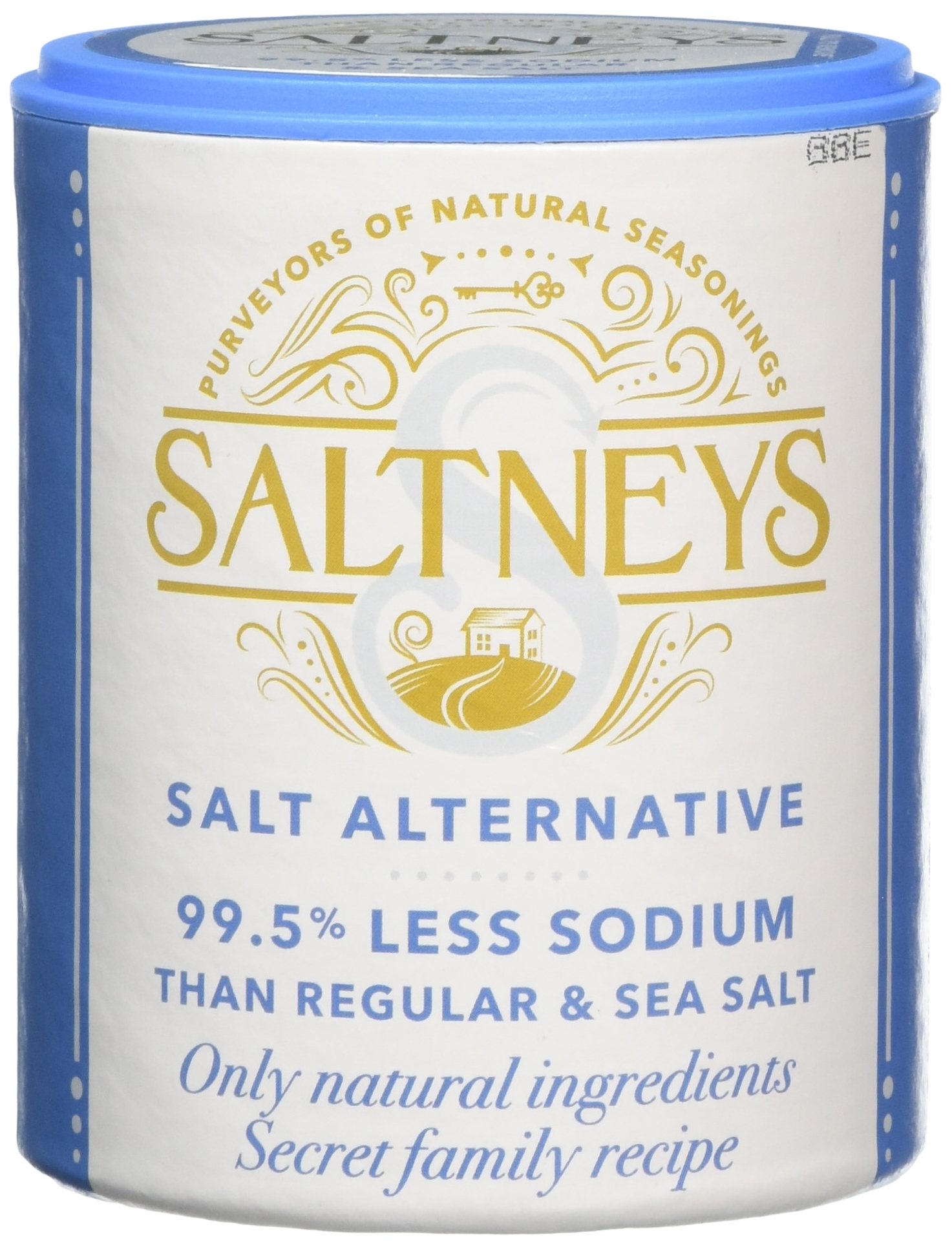 Saltneys Salt Alternative 100 g (Pack of 12)