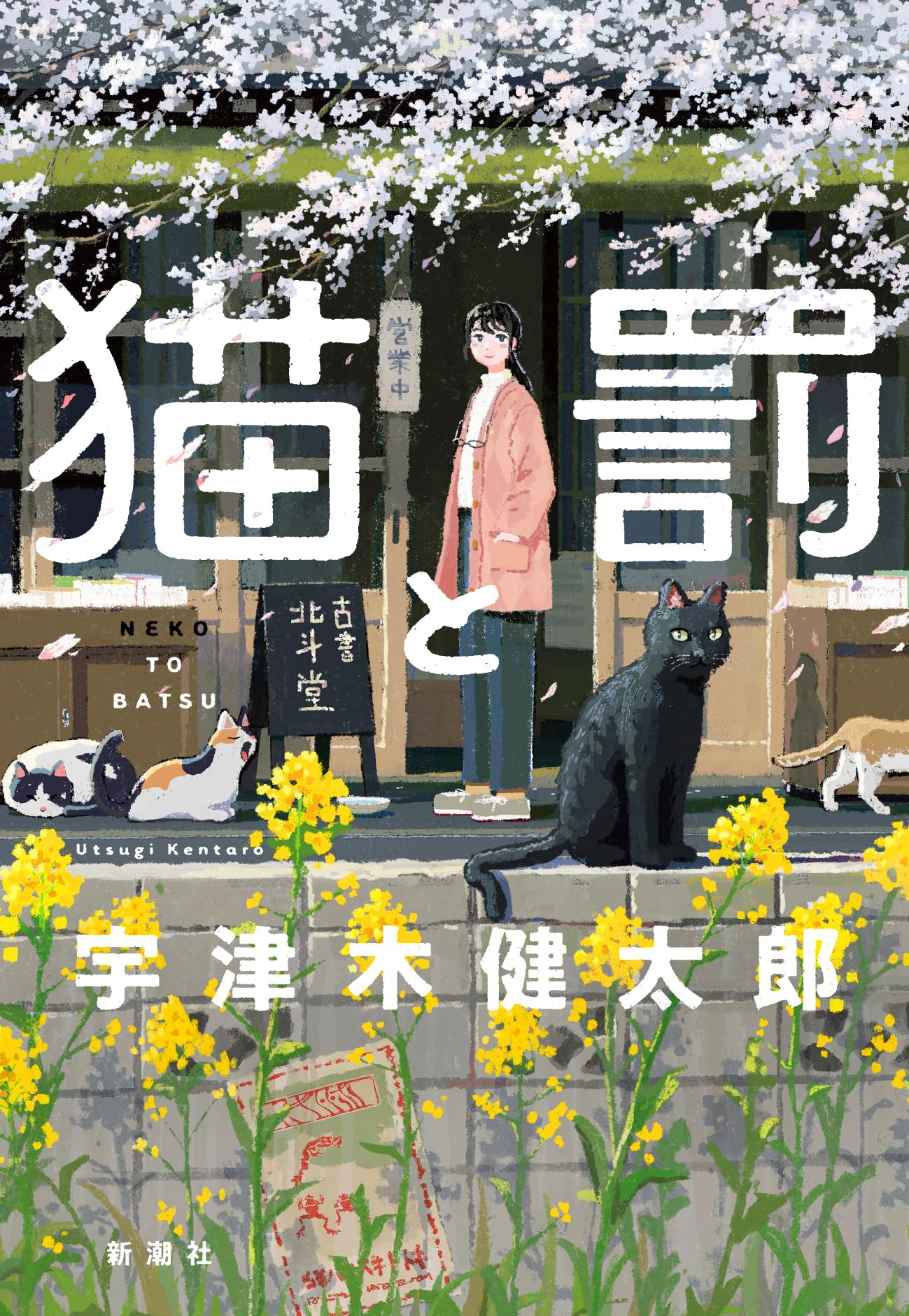 猫と罰 | 宇津木 健太郎 |本 | 通販 | Amazon