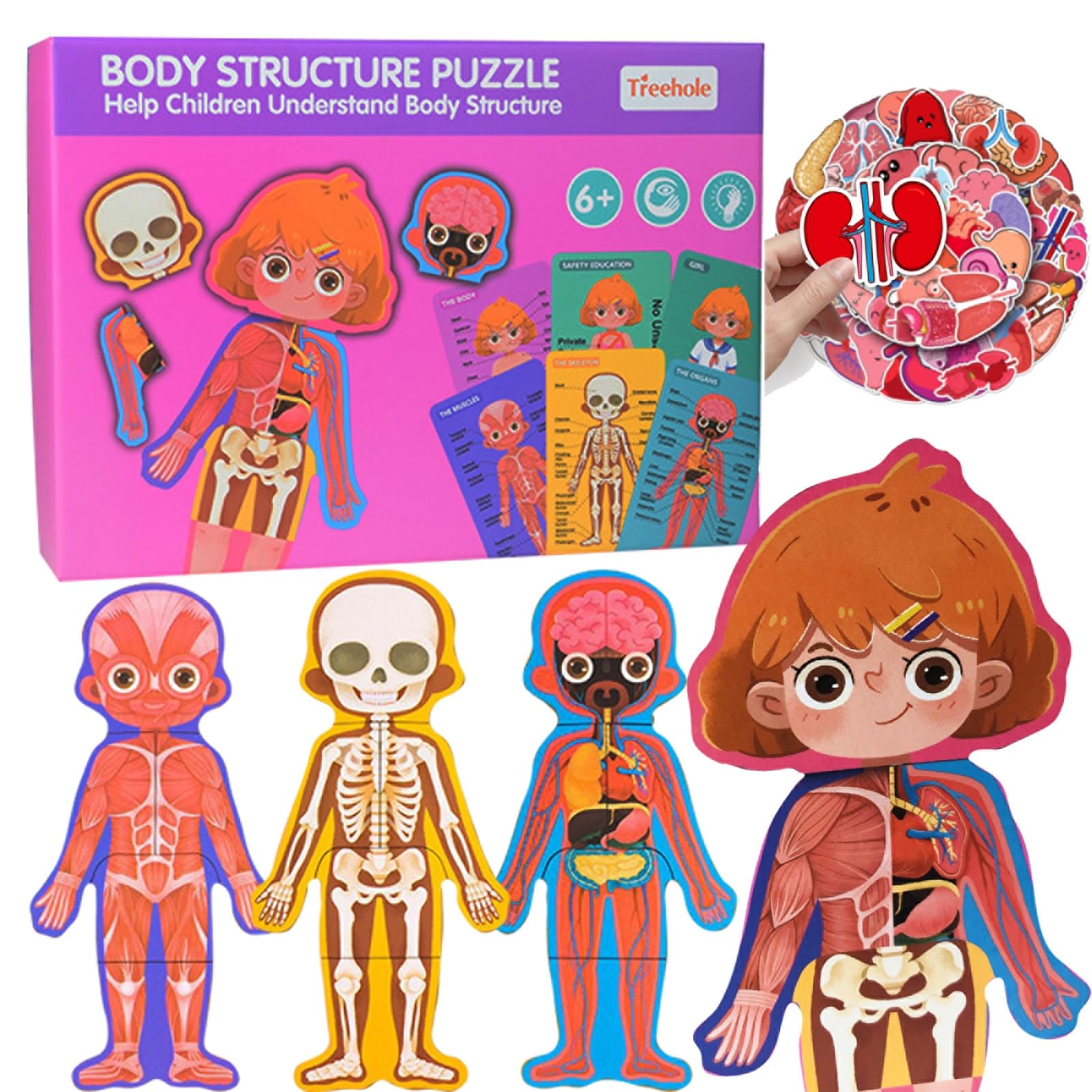 Human Body Anatomy Toy, 36 Piece Human Body Puzzle Sets with 50 Piece Organ Anatomy Stickers, Preschool and Homeschool Learning Anatomy Puzzle Skeleton Toys for Kids Ages 3+ (Pink-b)