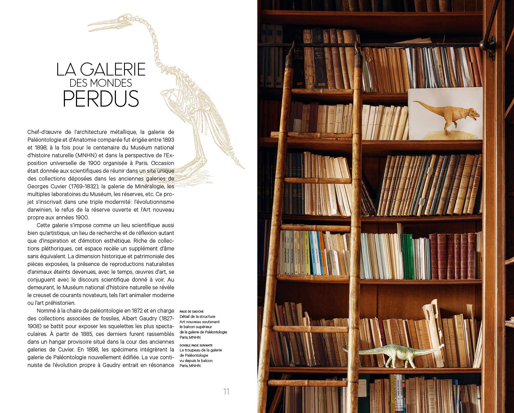Un jour avec les dinosaures