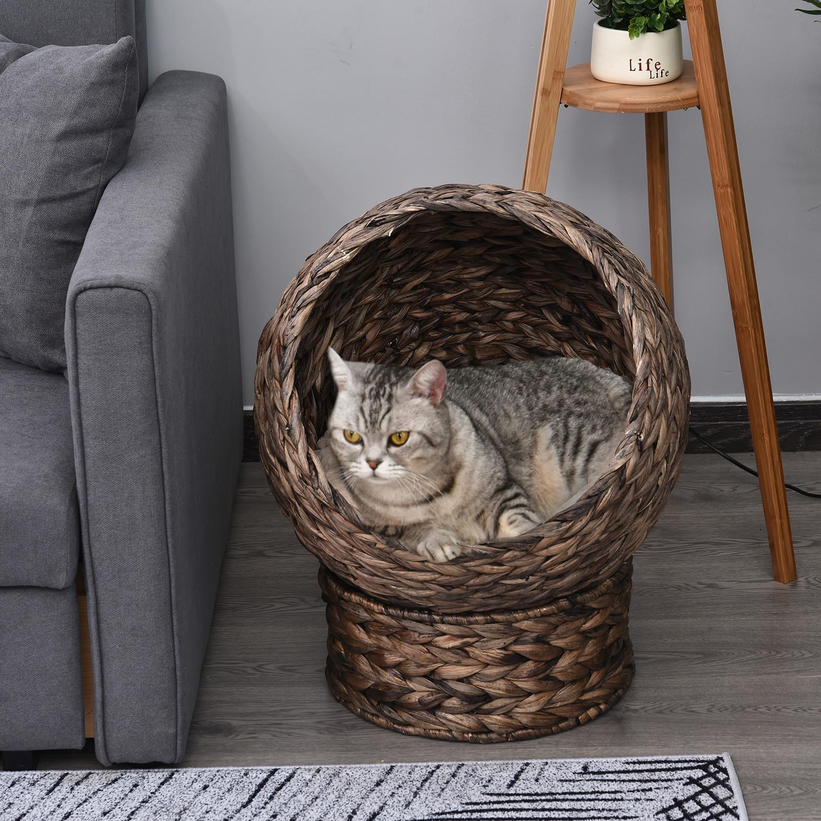 PawHut cesto per gatti in rattan rifugio per gatti grotta per gatti con cuscino letto per animali domestici in giacinto d'acqua per soggiorno marrone scuro 50 x 42 x 60 cm
